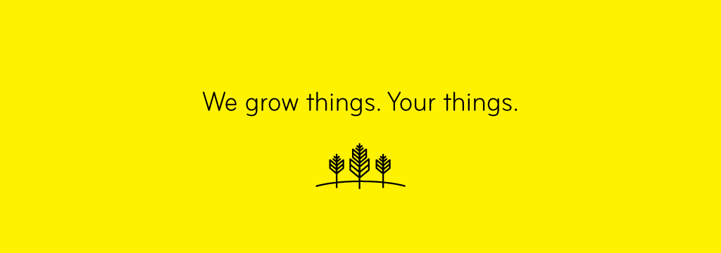  We Grow Things. Your Things. - DIY Marketing Start-up Program from Thinkfarm Interactive Inc